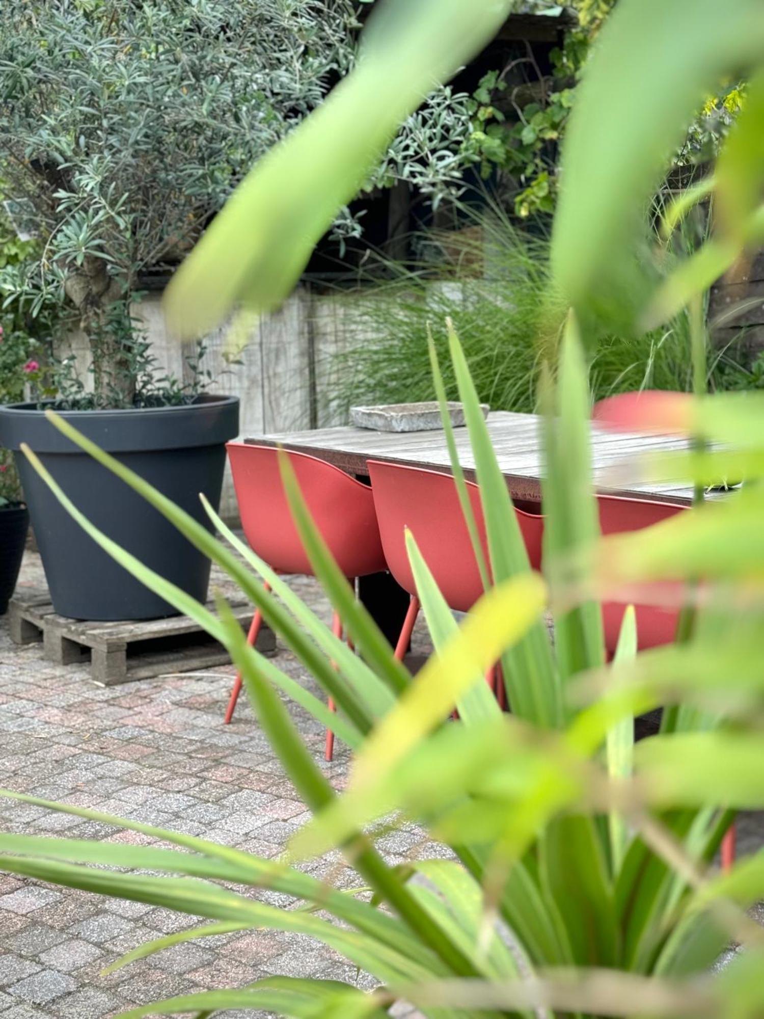 Bed and Breakfast De Wilden Ezel Mol Exterior foto