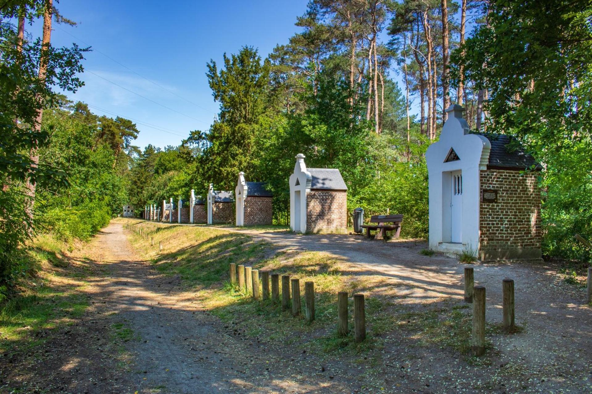 Bed and Breakfast De Wilden Ezel Mol Exterior foto