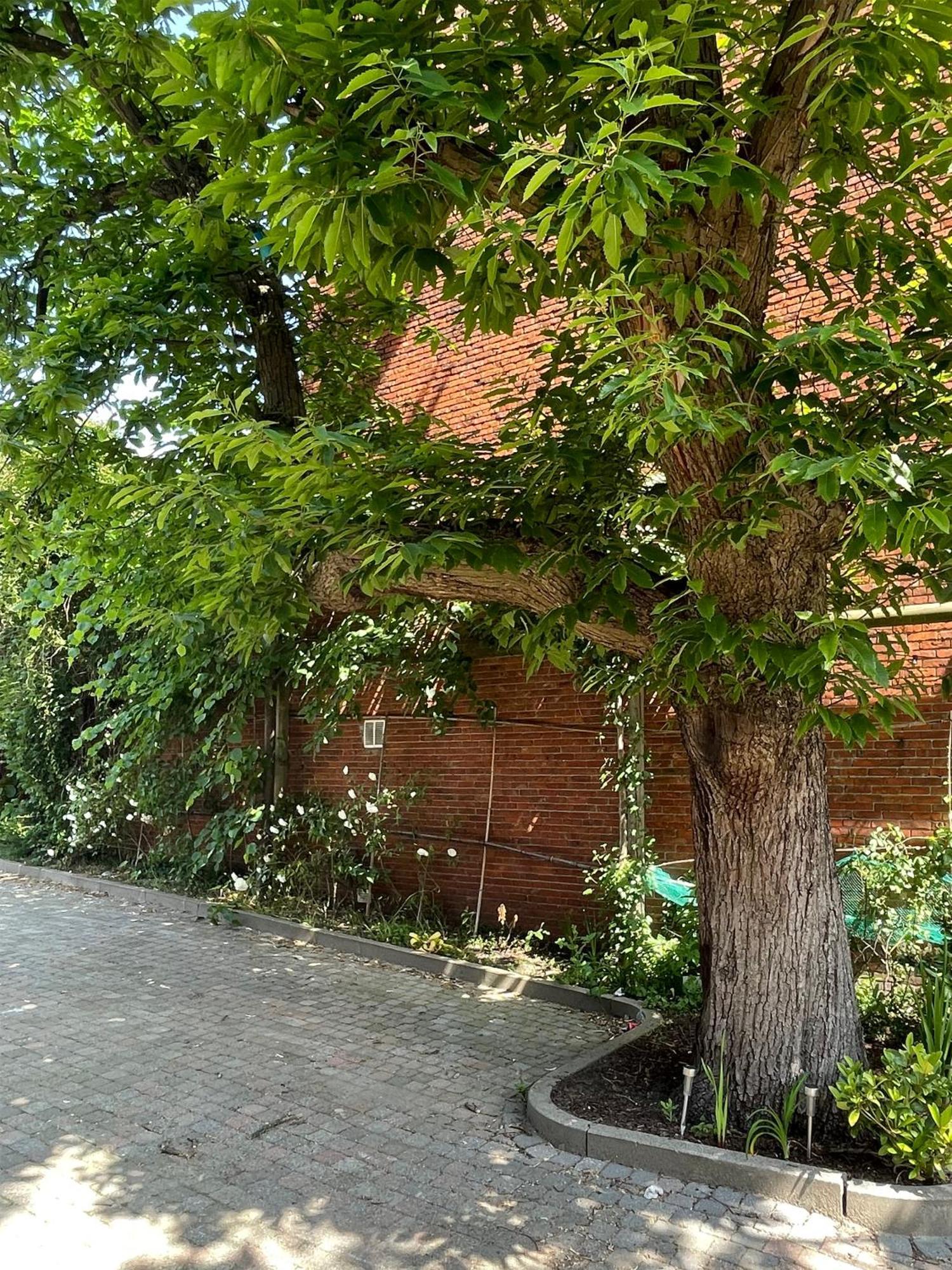 Bed and Breakfast De Wilden Ezel Mol Exterior foto